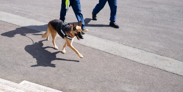空港で働く税関の仕事